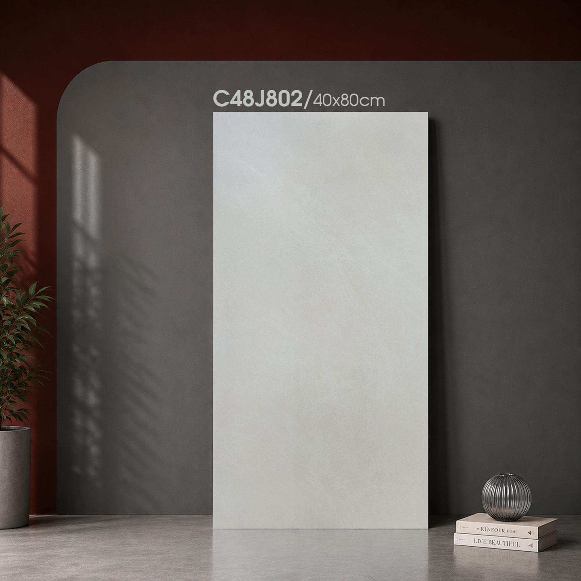  C48J802 