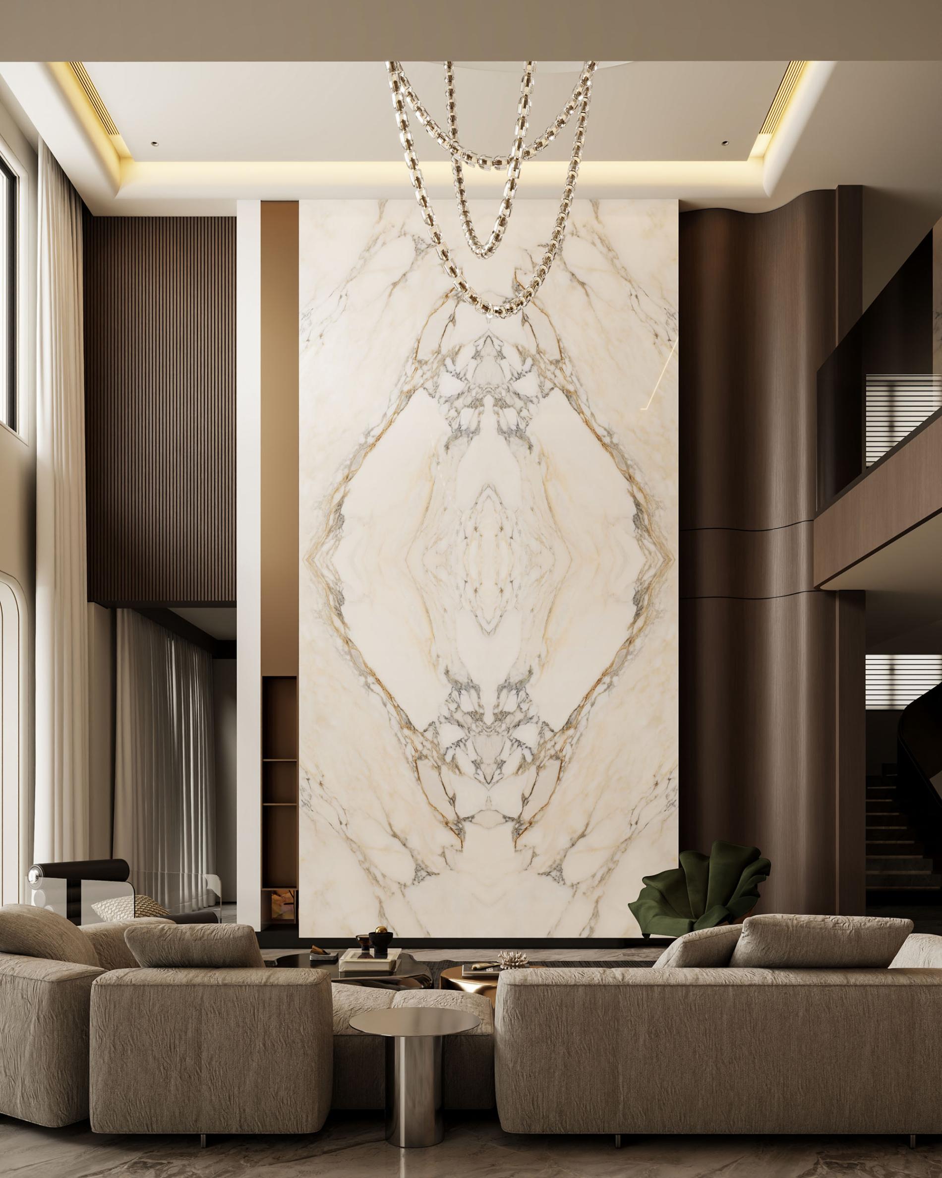 XT321612365 XT321612365