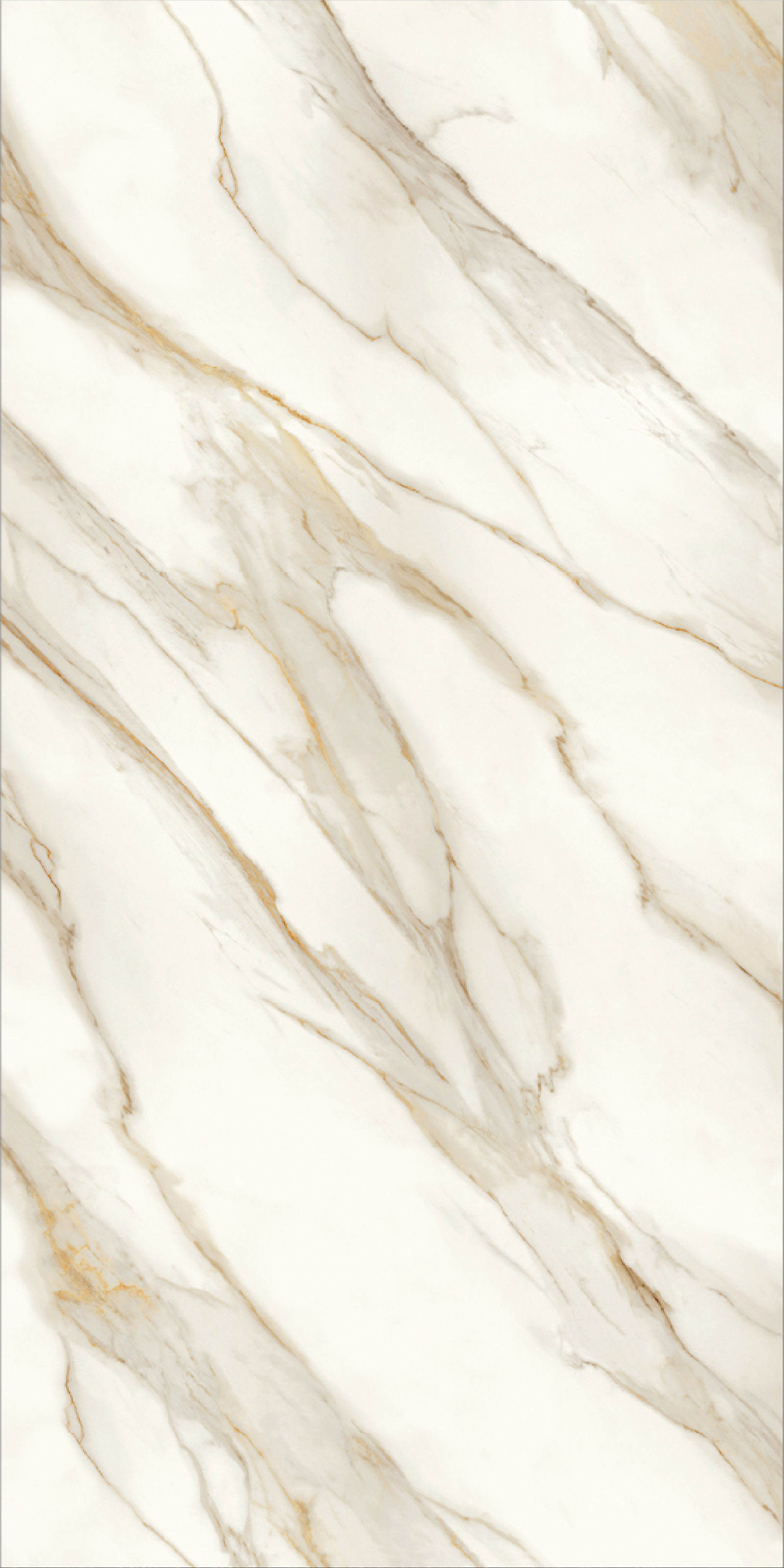 Click để xem XT321612383