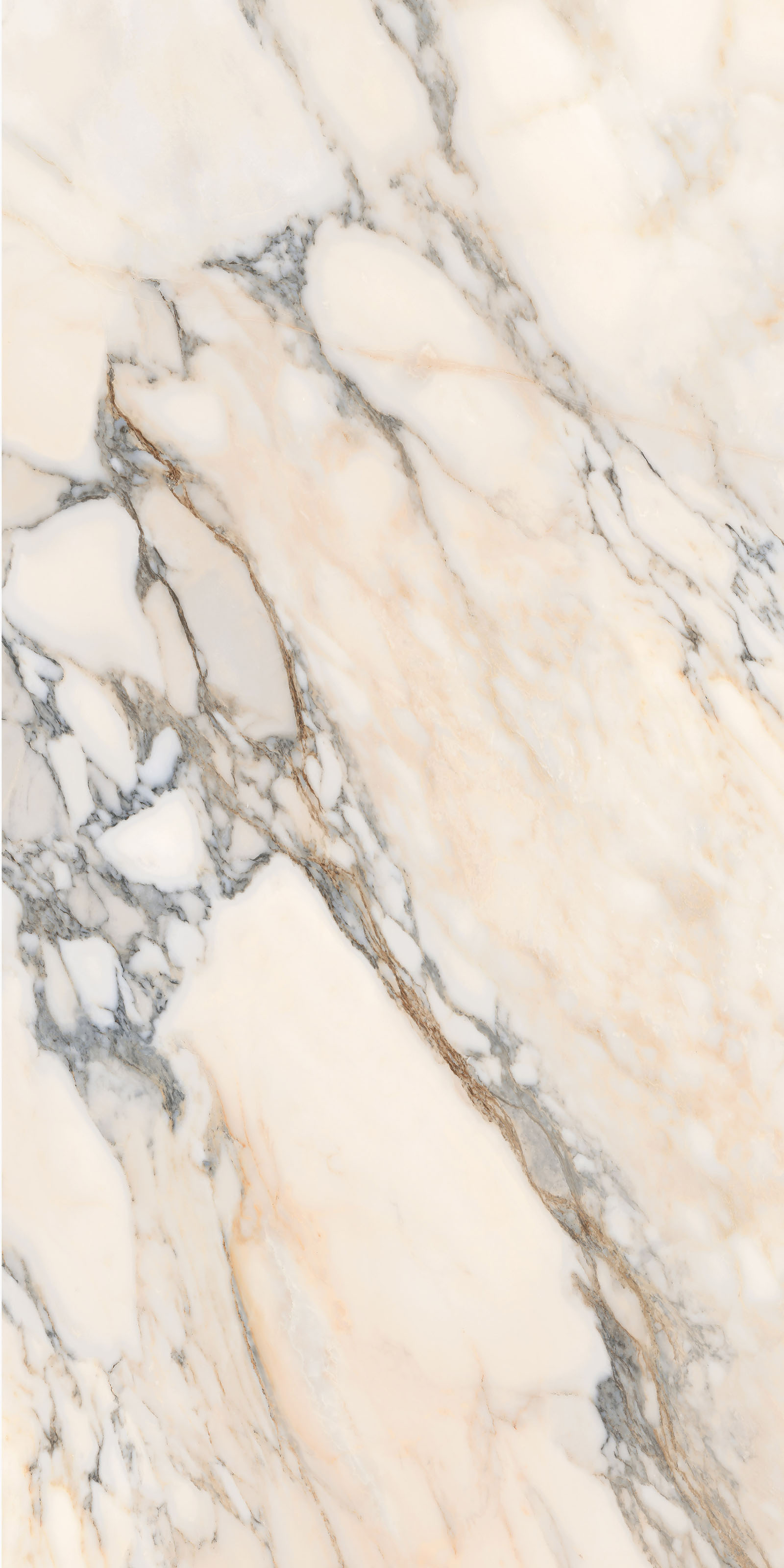 Click để xem XT321612365